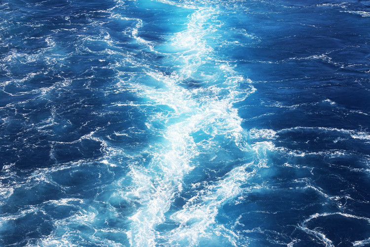 余氯與總氯 余氯與總氯